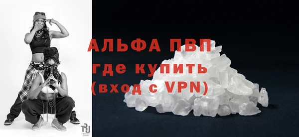 индика Алексеевка